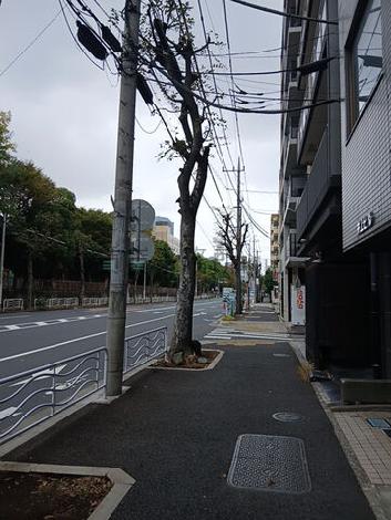 物件周辺