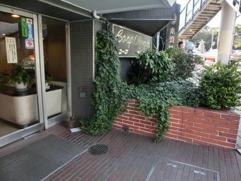 植栽が植えられた印象の良い玄関です