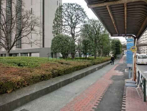 目の前に都バスとコミュニティバスの停留所があります