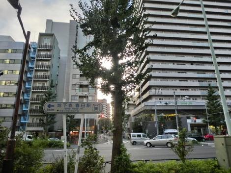 白山通りが目の前にあるため交通量も多いですが、大変落ち着いた雰囲気がございます