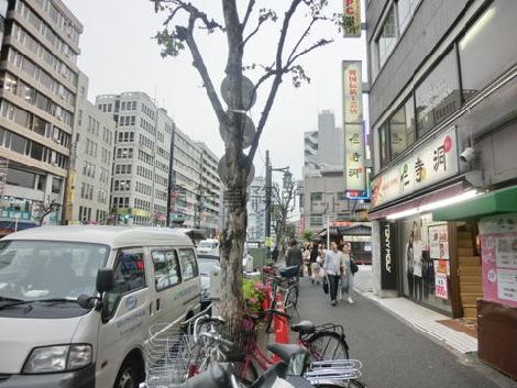 活気のあるエリアです