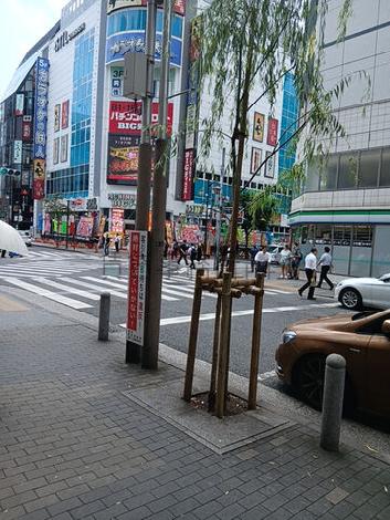 物件周辺