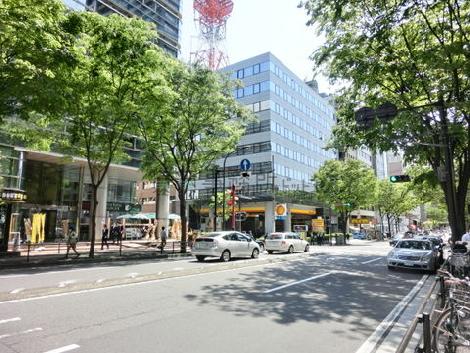 街路樹の多い通り