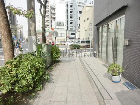 整備された綺麗な歩道