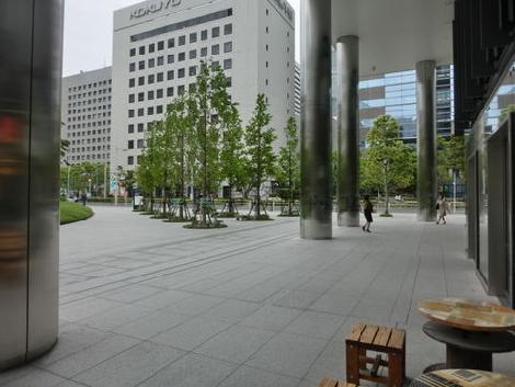 正面玄関前の敷地内です