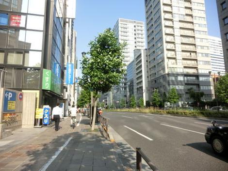 街路樹に癒される通りです
