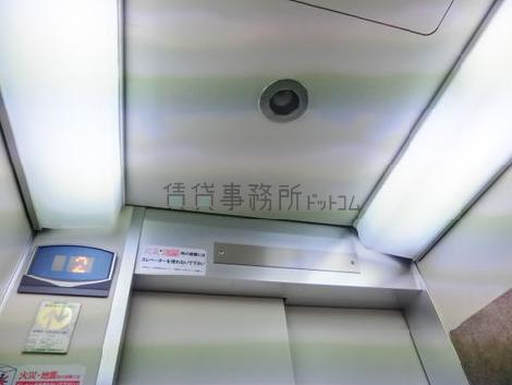 天井の照明