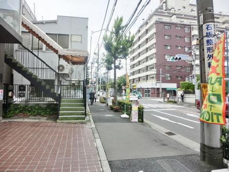街路樹の立ち並ぶ通りです