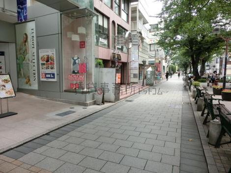 落ち着いた雰囲気のある並木道
