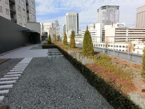 緑がありくつろげる空間です