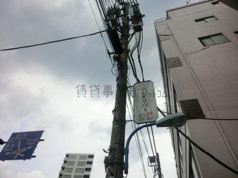 目の前は比較的ひらけています
