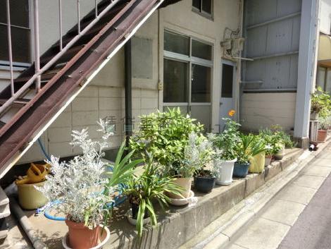 良く手入れされた緑が飾られています