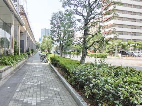 街路樹の豊な通り
