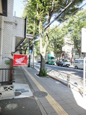 街路樹のある歩道