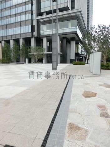 植木が点在する敷地内