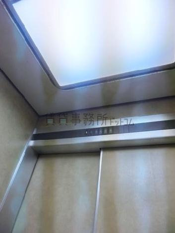 天井の照明