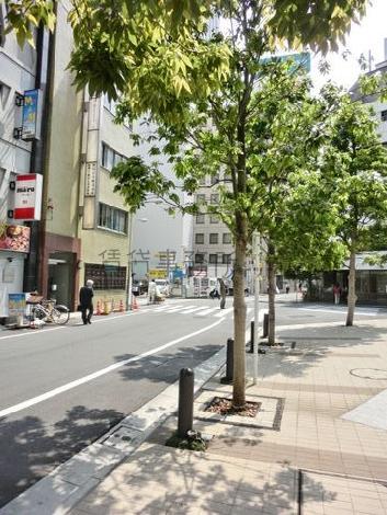 街路樹のある通り