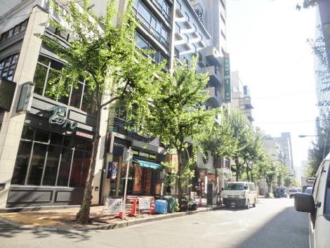 交通量の少ない公道に面しています