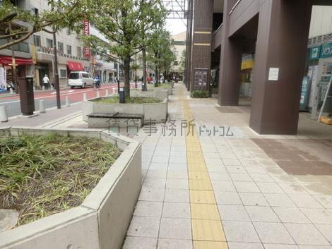 植木の点在する敷地内