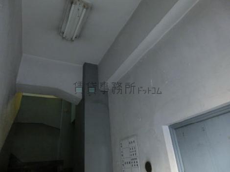 天井壁面ともに白を基調としています