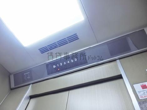 天井の照明