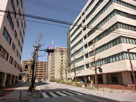 車通りはそれほど多くないです
