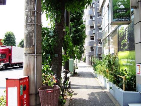 物件周辺