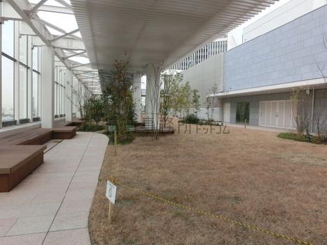 屋上