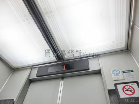 天井の照明