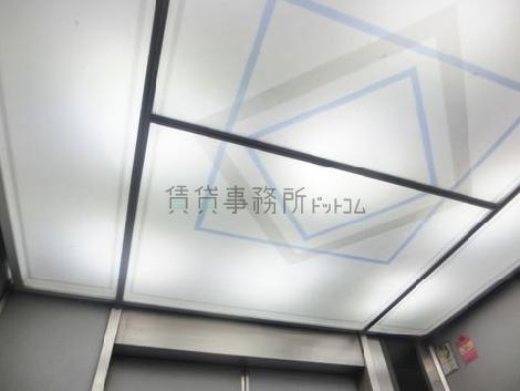 天井の照明