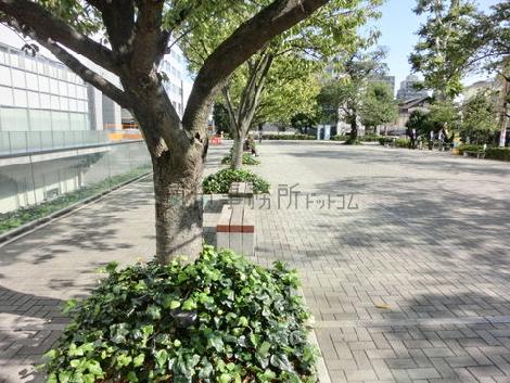 物件周辺