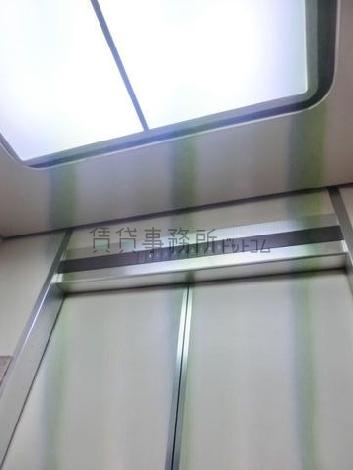 天井の照明
