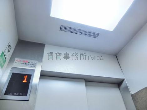 天井の照明