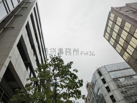 真下から見上げると雰囲気が変わります