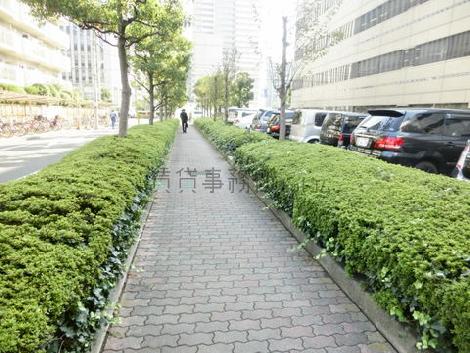 緑道内