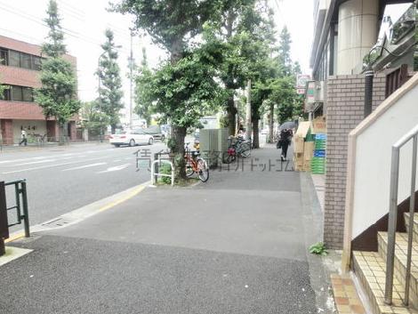 玄関前の歩道