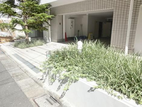 玄関周りの造り