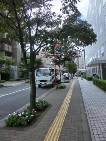 物件周辺