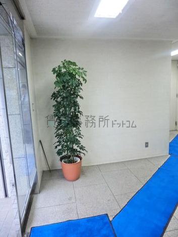 エントランスに観葉植物が置いてあります
