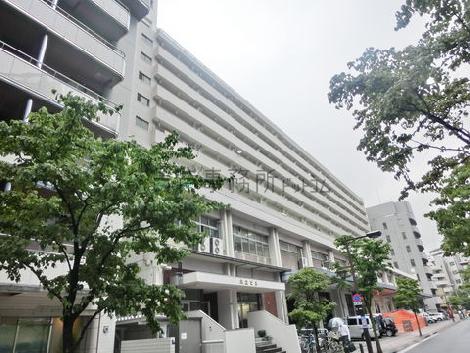 隣地は大型分譲マンションです