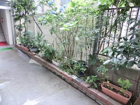 様々な種類の植物が植えられています