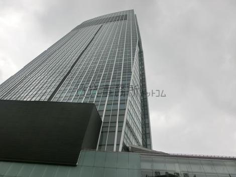 見上げた様子です