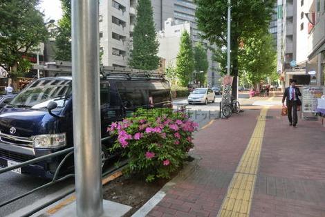 物件周辺