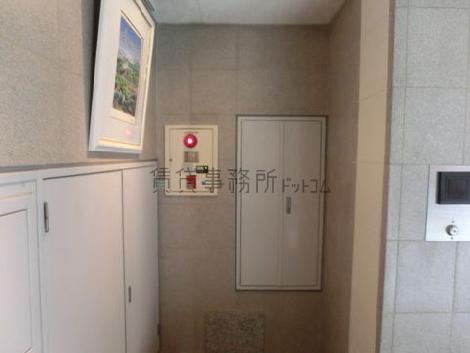 綺麗に保たれています
