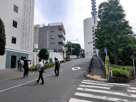 物件周辺