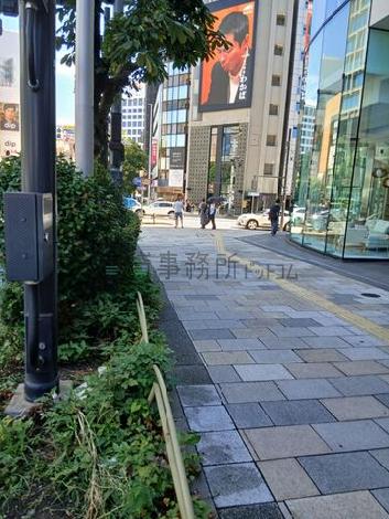 建物前の通り