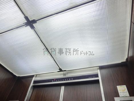 天井の照明