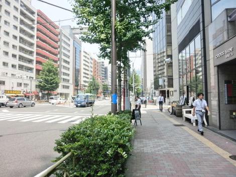 木々の立ち並ぶ綺麗な通り