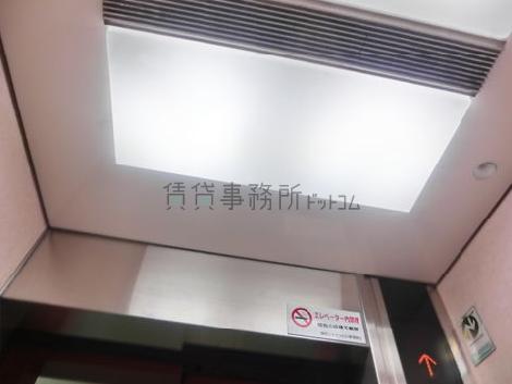天井の照明