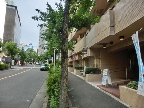物件周辺